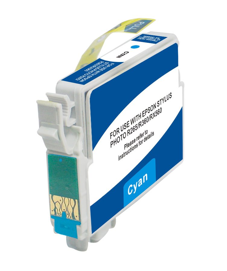 T080240 Compatible Epson T080240